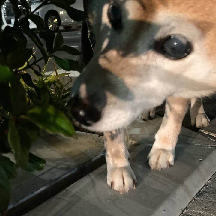 Ab69ac2d 0d86 4caa b9e2 baab188c345d 1702296856561