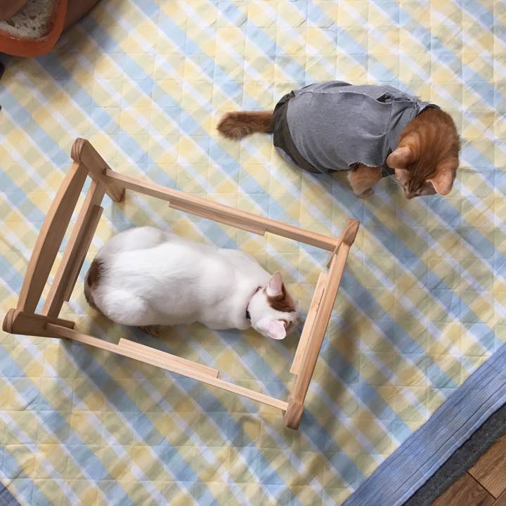 Ab6a16a9 d43d 4d96 8811 afbfe28eba96 1537668289888