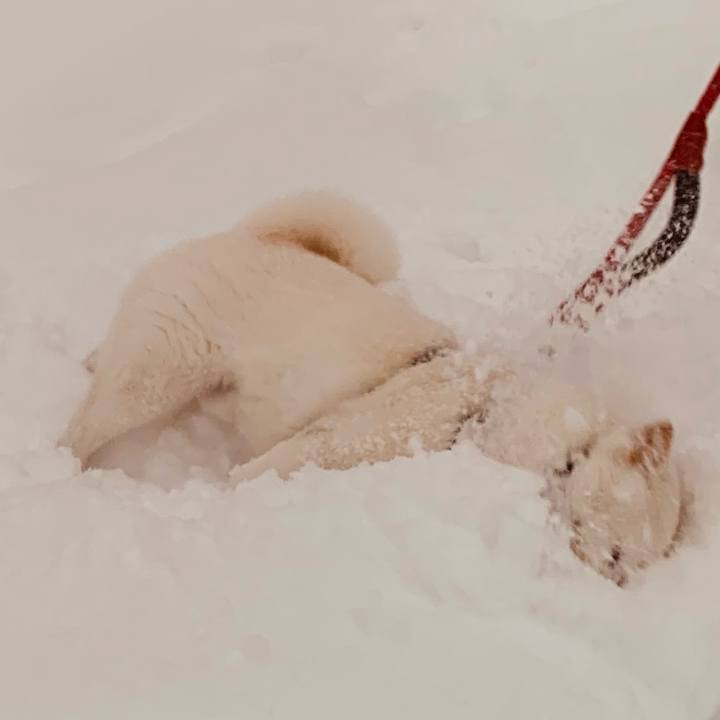 Ab6a2e6f bf4e 4bdb 8059 99b1fcfe120e 1676846960346