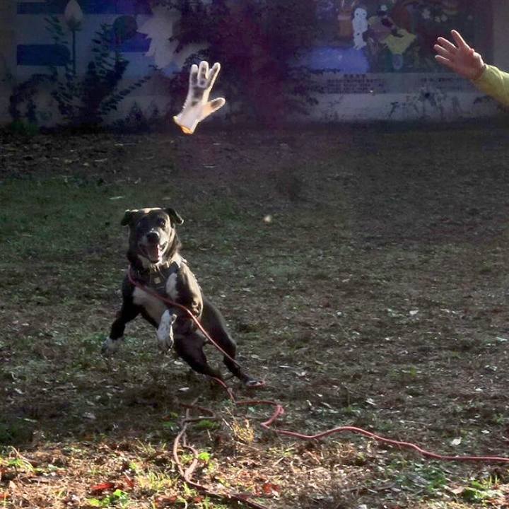 Ab6a2ef5 a408 4625 8054 13705f20717a 1730680264823