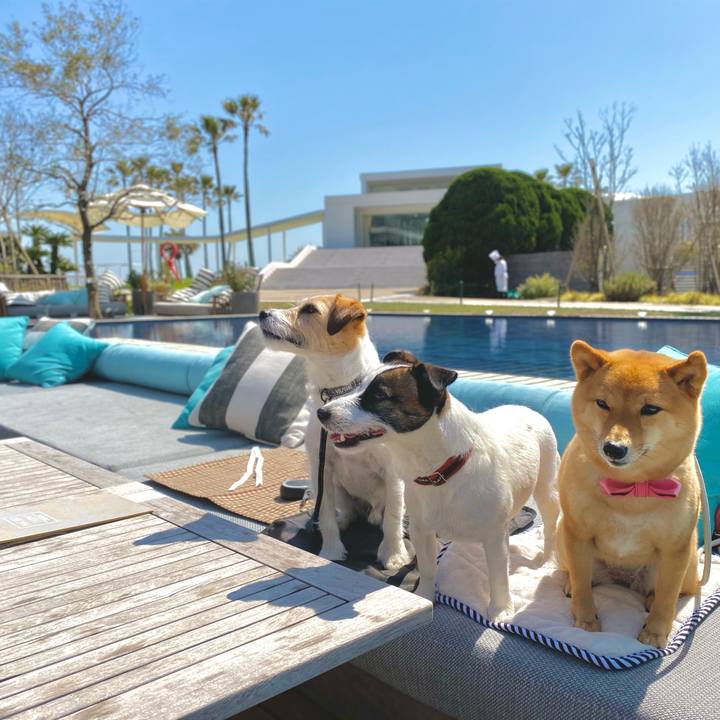 Ab6a4172 70b5 4ea1 b724 bc6c685b5206 1617884486005