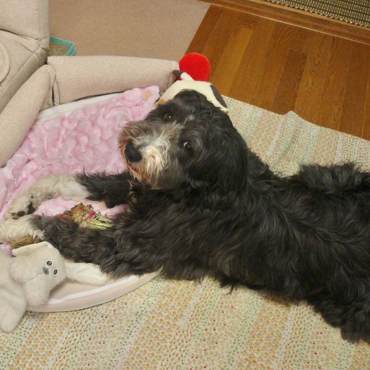 Ab6a5bdf 1fa7 46cc 89b9 7d9e4c992ba1 1582711051263