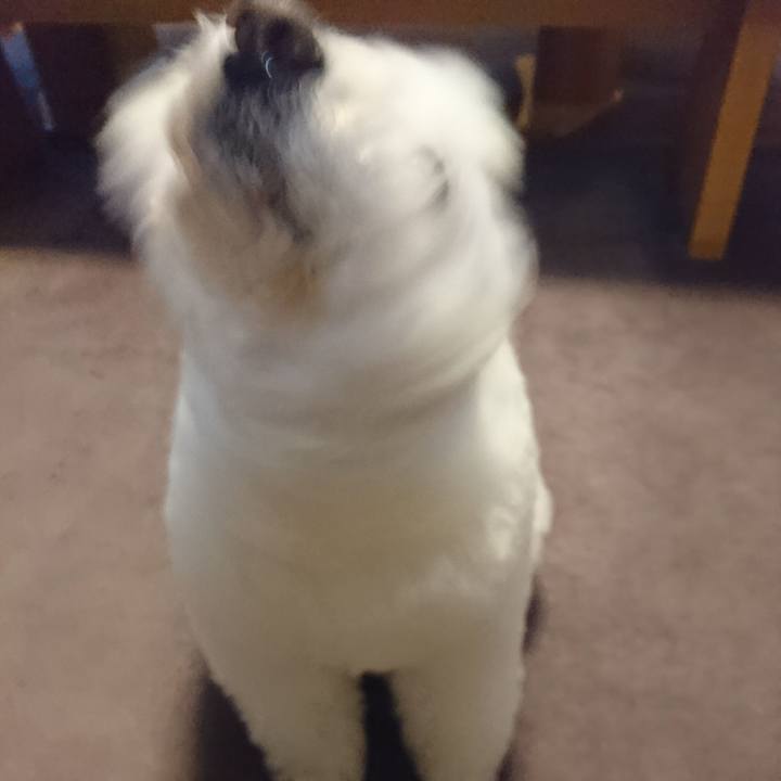 Ab6a7800 a4d2 4908 ab45 d865c9f7cb3d 1525881303727