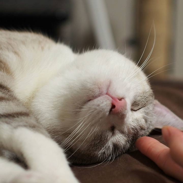 Ab6a78ee 846f 4472 b268 fa5b4ff2c9ba 1534892635643