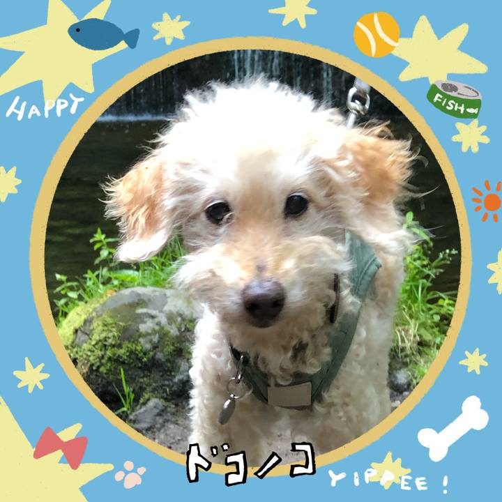 Ab6aabbd 44c6 48c7 9125 aad09c17ef25 1720753118186