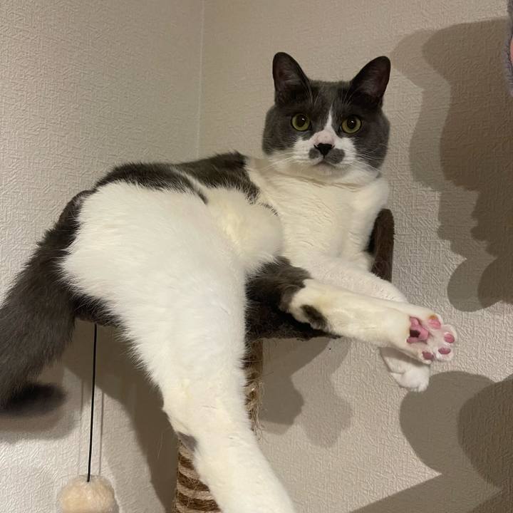 Ab6acbf4 9818 433d a975 9f08f06a531e 1717757841160