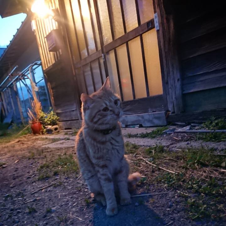 Ab6b95f4 e475 4841 8182 d0451fed60df 1654253241564