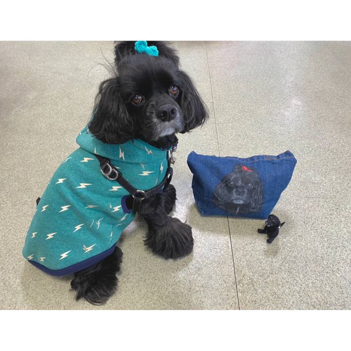 Ab6befad ff7c 4b71 8a19 419ece3ef170 1585642637471