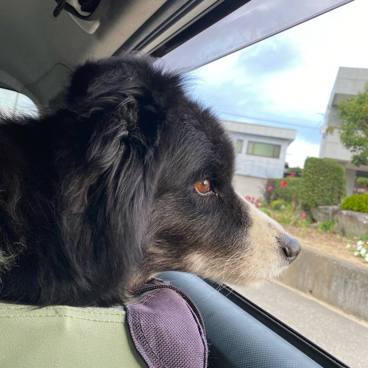 Ab6c082a 852b 43ec 8caf 730e765e452d 1666477117638