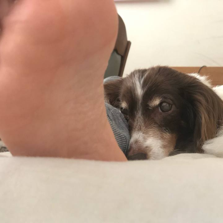 Ab6c0eb3 ccf9 40de b06c 5df8b260e888 1565577416558