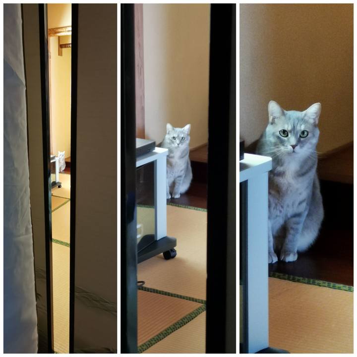 Ab6c442a e04d 49d1 a158 8bab680d9996 1620089535046