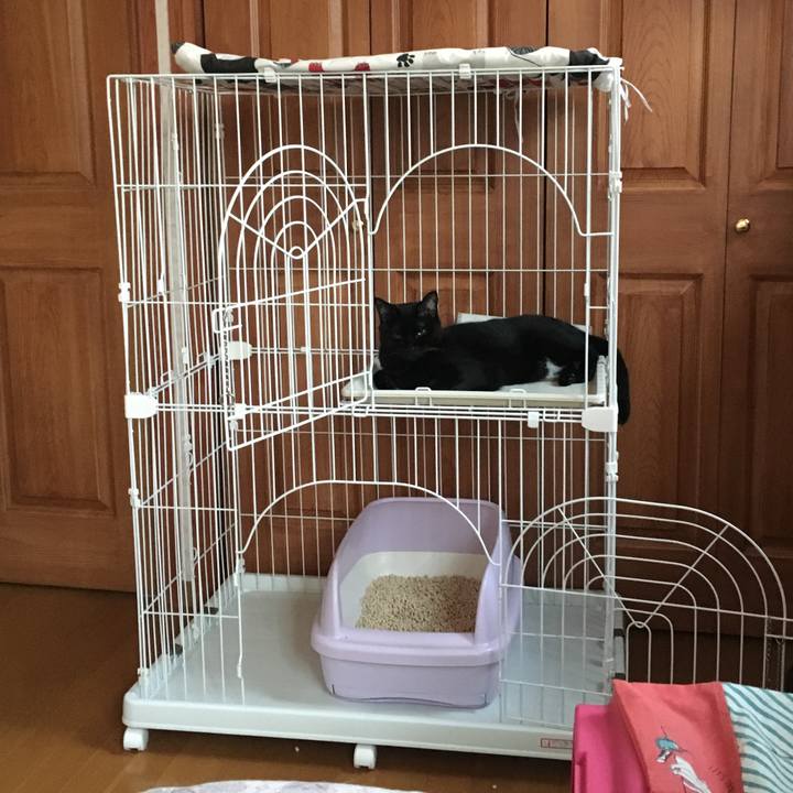 Ab6c72b2 0abd 4a13 8d88 57e38afad371 1530391353582