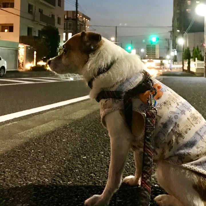 Ab6c883c 94f4 44b1 8fcc c9a60a8d19df 1570008324576