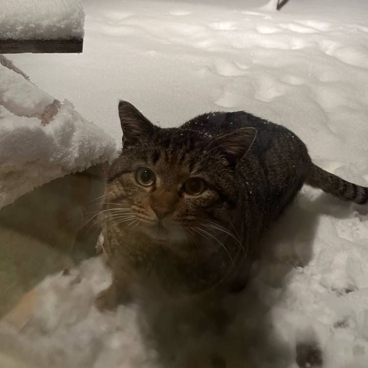 Ab6cfb3c 15d8 4995 b84d ea7fd0630233 1743707624588