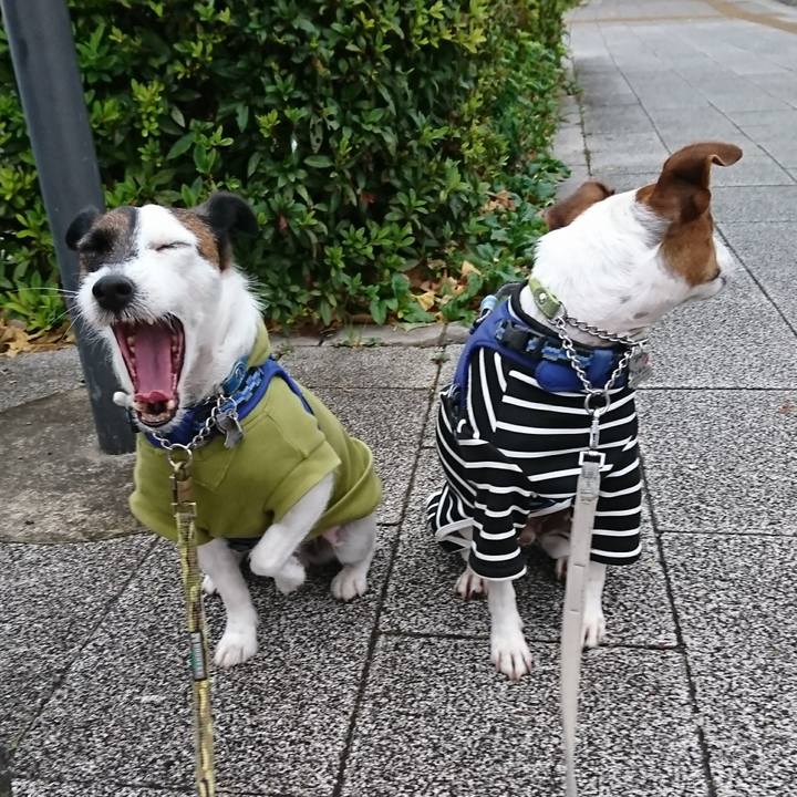 Ab6d4143 c5ec 4728 a013 4fa10dff8dfe 1606949966589