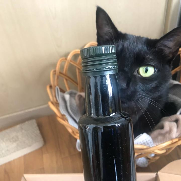 Ab6d4e18 2638 4520 a6eb db47254577e2 1642761654115