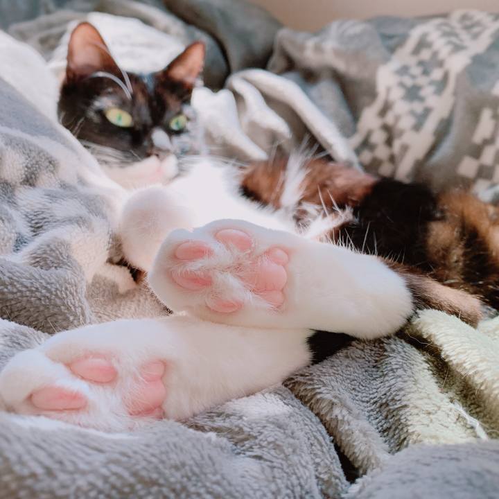 Ab6d7a72 e3ef 4831 bade bfd35beff2a8 1555732186122