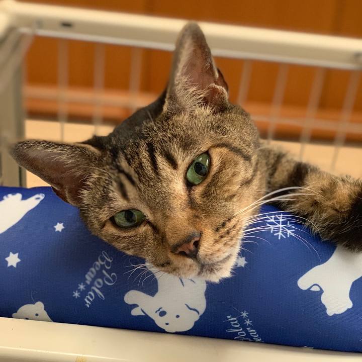 Ab6d831e 4095 4a6b 9c09 c23a74d125e4 1564880940461