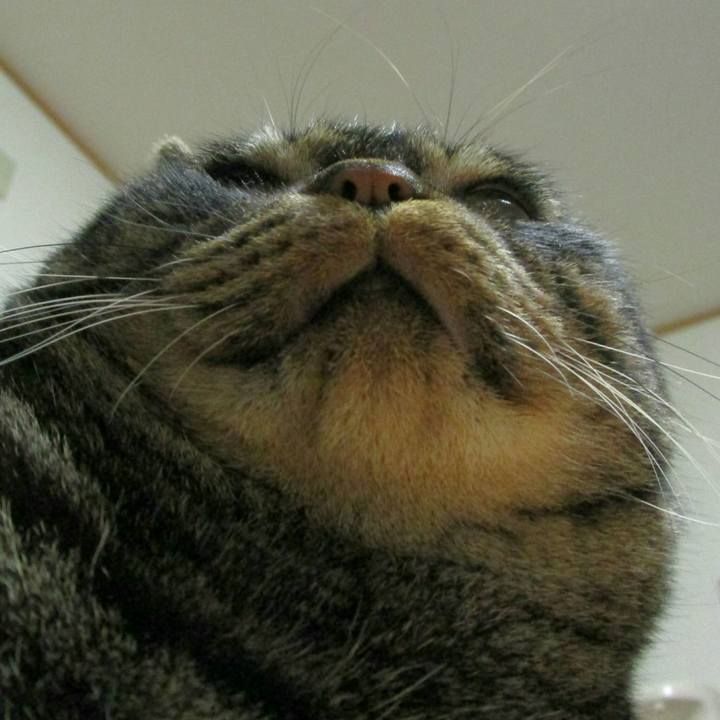 Ab6db896 ac4c 4141 b4e7 13a0f80b4d4f 1510830873580