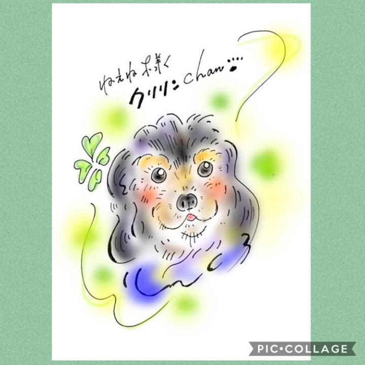 Ab6debd5 9f1d 4527 99bb b10a9e1ced53 1567693675550