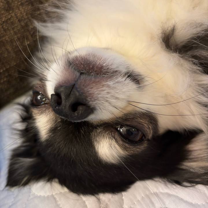 Ab6e08ab 11ac 4ceb 975d 5cd8d9ed4488 1757782711709