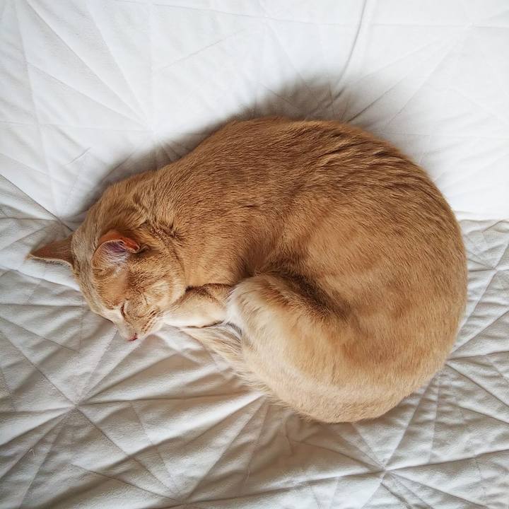 Ab6e09af 9e17 478d a7c7 0d2b823f325f 1651013167103