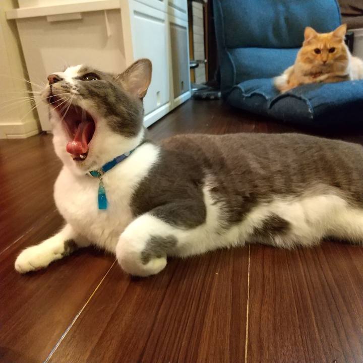 Ab6f763a 37cf 4c9e 9d4e b6d2b8749d90 1637012246592