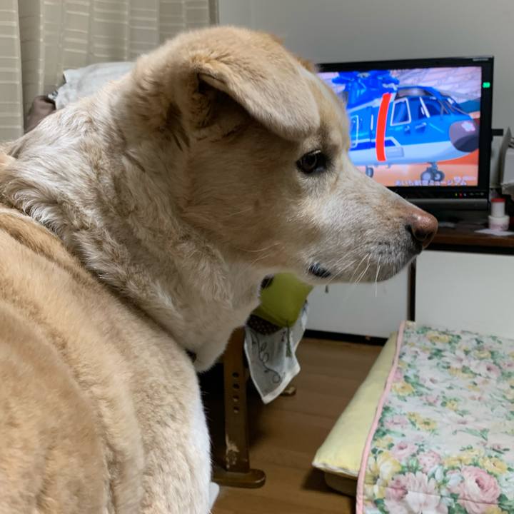 Ab6f87ee fecf 4016 a208 2cb7bbd29a44 1583659946908