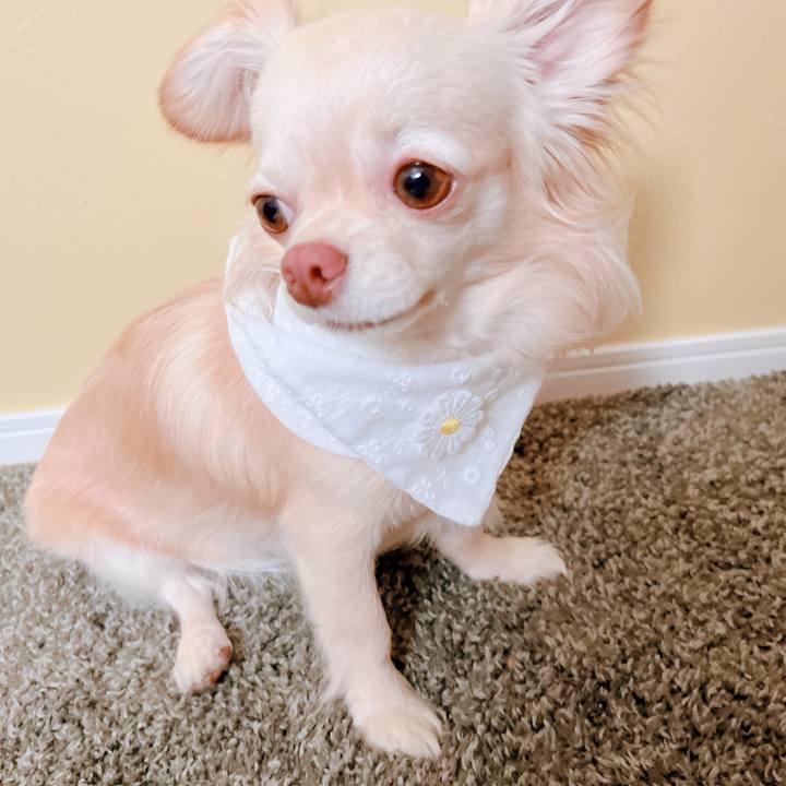 Ab6f970d cfab 4afb b1c2 d95a0ca5fae7 1654409866253