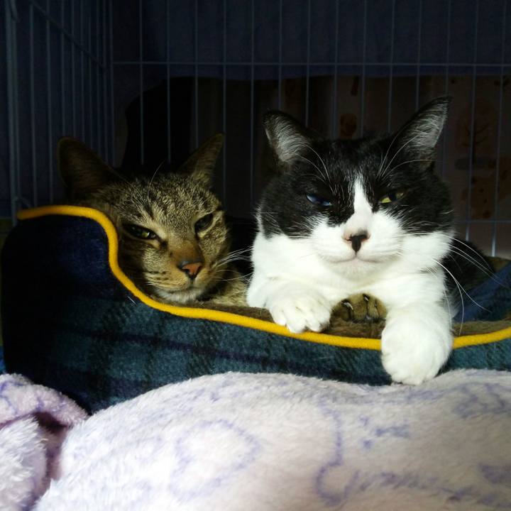 Ab6fa45e cc09 4ab5 b158 3c87a6712c99 1512914936400