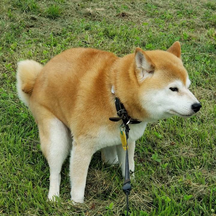 Ab6fc561 7b2a 450b 84ef b0991790e33e 1593240228490