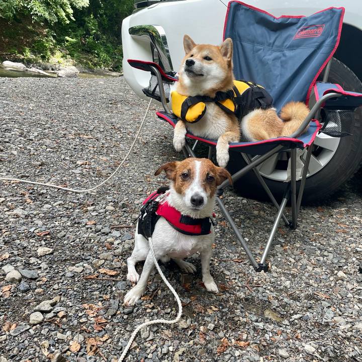 Ab6fcd3c cf05 4de8 8c30 befa2ccea13b 1659270423259