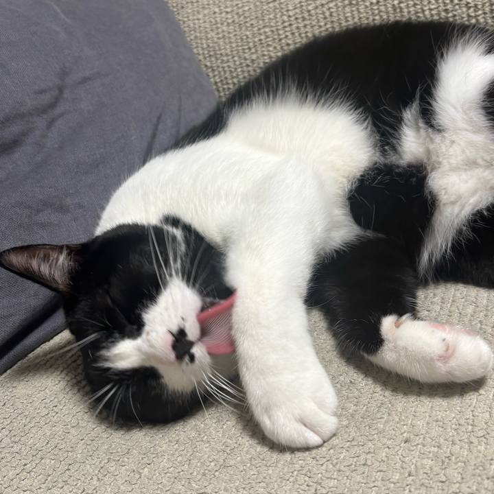 Ab6fd37f 60cd 4ee9 9a4a 0634fe79d1db 1763000752041