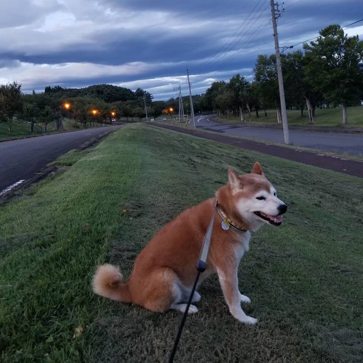 Ab706114 95fb 421a a3a9 6436fa7d0e5c 1662455231450