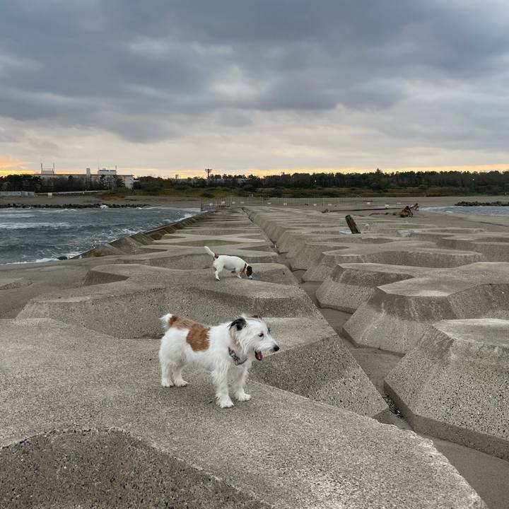 Ab706283 f436 4e95 ad52 2ea948fe7347 1667607871135