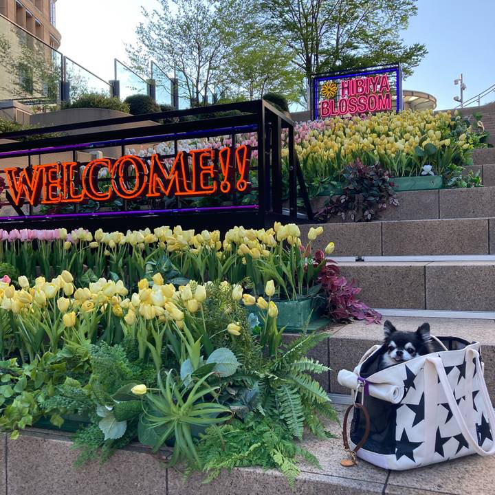 Ab70b946 53f9 4d8c bfc8 fb94d4c8a2f1 1775646994039