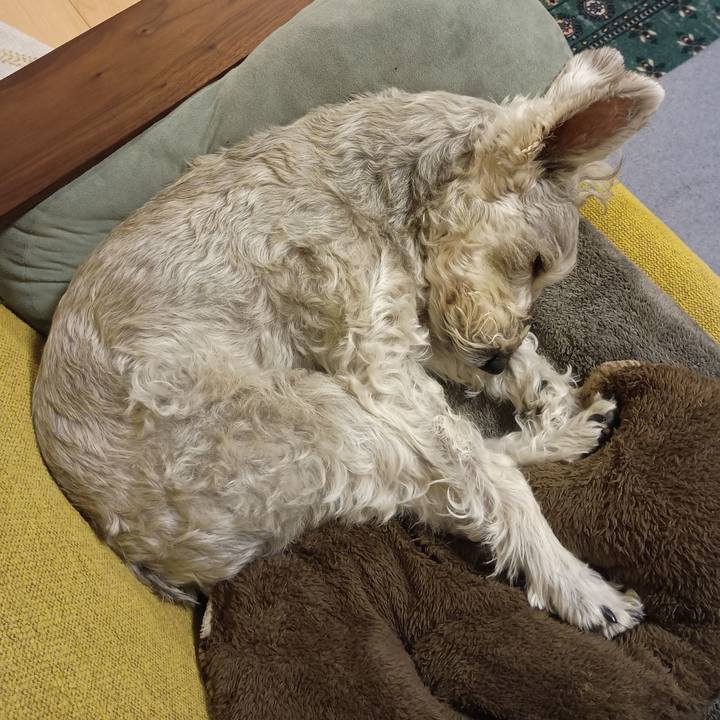 Ab70dee2 c8bc 4e44 a6a9 f013ddbe44f9 1766061215953