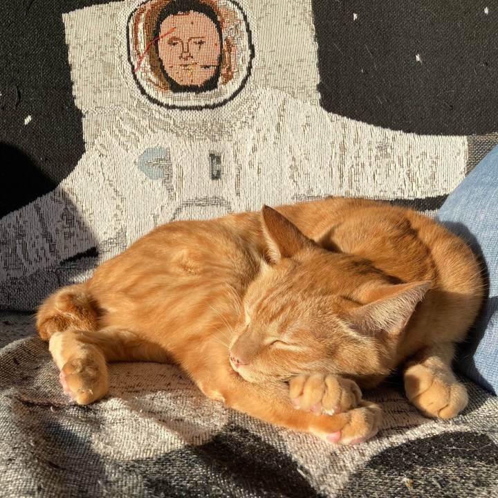 Ab70e6a4 5f99 4332 906e f7b843cc60fc 1670111367636