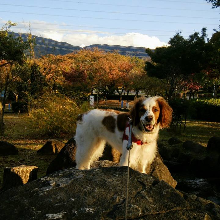 Ab711bec e819 40e6 9f16 ef73d9776887 1541492995338