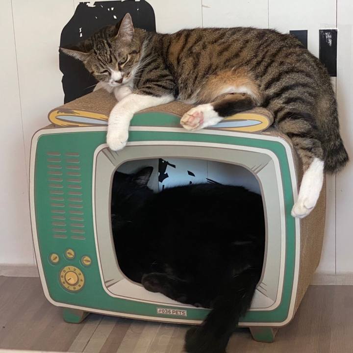 Ab711f58 6665 47a9 a9a3 8f9f70b2ec6b 1632358144279