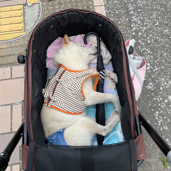 Ab714e8a 00b9 4a8c 8823 14b67d1d2866 1656750767723