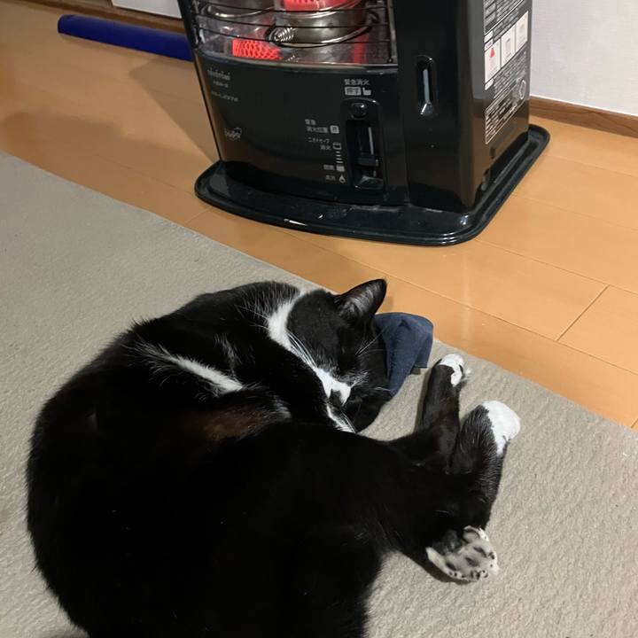 Ab7195c8 f7c8 4171 a1a3 3b69447f0eb6 1709696139244