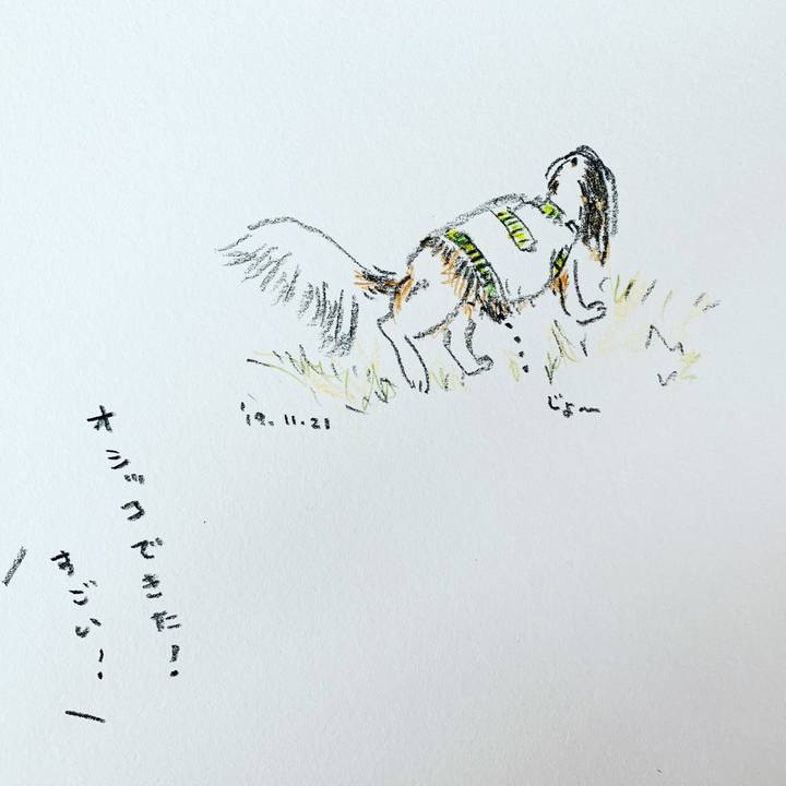 Ab71af12 0388 47b1 a1d7 58b5cdfcd649 1574300371660