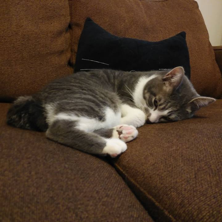 Ab71b39e cd62 4d0e a2e7 01f6bfd8d18b 1583815992721