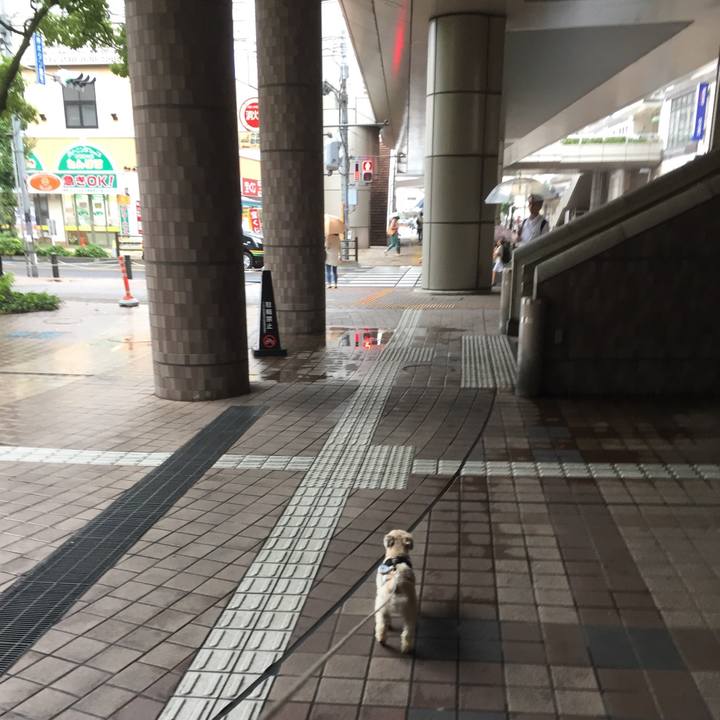 Ab724a68 3ec8 4772 ad56 a508915cb050 1535859881805