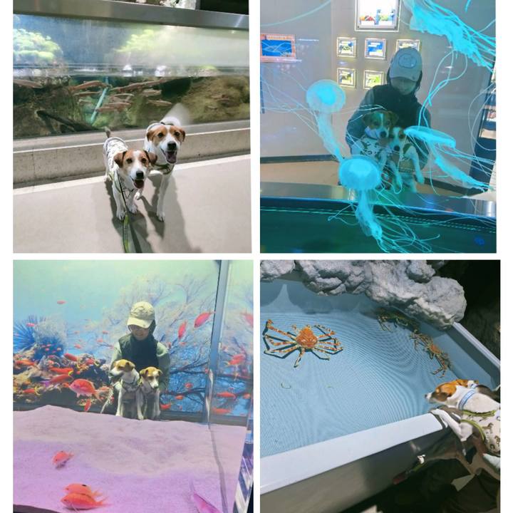 Ab727791 b6ce 4718 9884 4c055e4f6c60 1768564631243