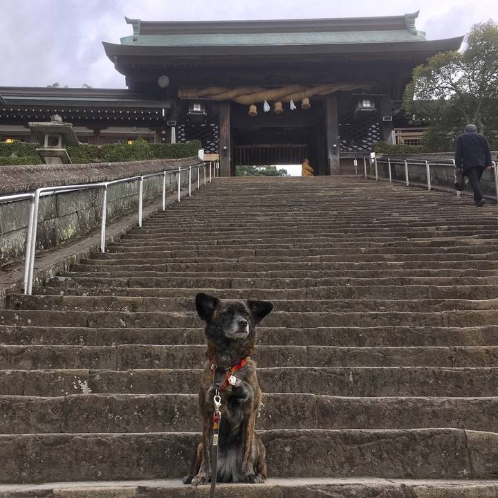 Ab72b465 5ed7 41b6 b616 2bf8d1690c42 1518612761710