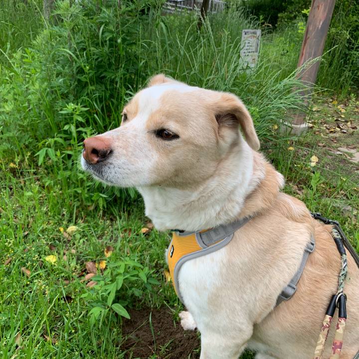 Ab72d30b eeee 4a52 a50d 56f5b60ef65c 1557890376542