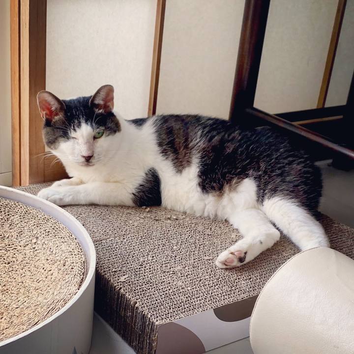 Ab72fe62 2f6c 4643 a884 43a6a0673cf4 1598320083215