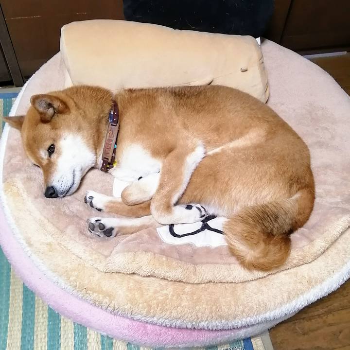 Ab73259a bce1 424e 8e56 d06f1be6010e 1589032544547